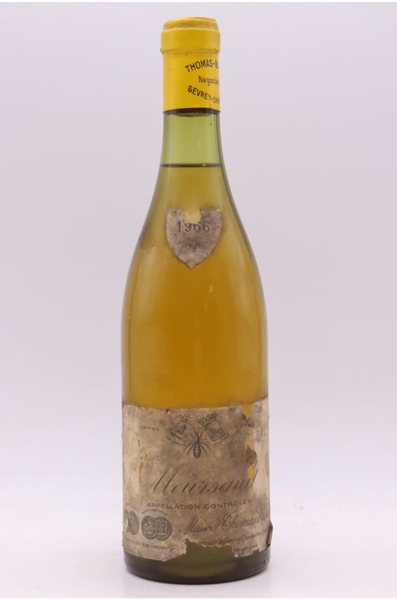 Maison Thomas Bassot Meursault 1966